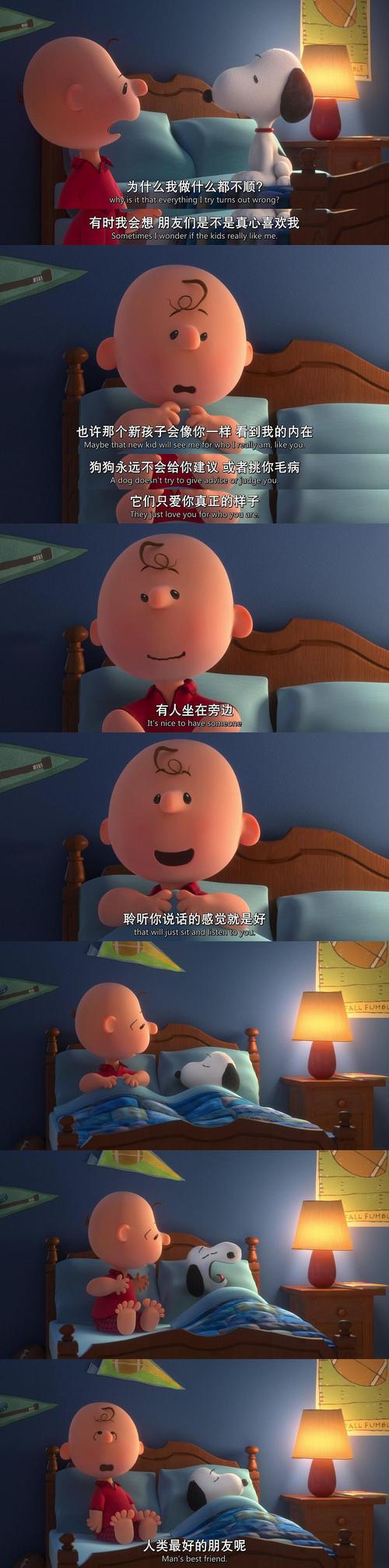 我跟老师爱爱了的相关介绍