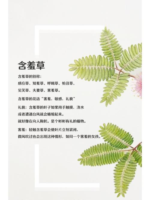 福利院午夜的相关介绍
