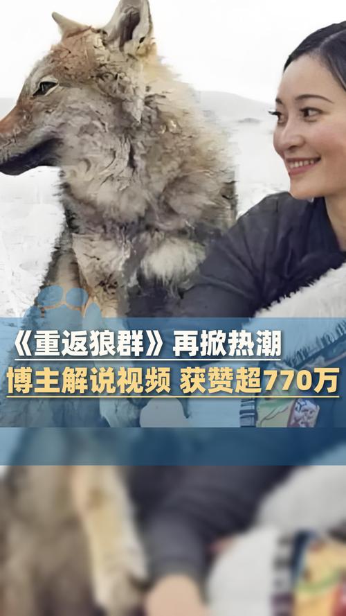 人间中毒在线完整版影院｜高清无删减｜剧情深度解析｜免费观看资源