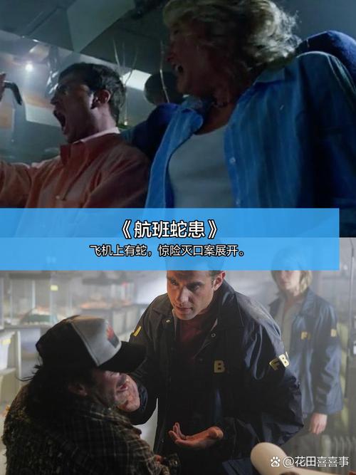 国产精品久久久久久卜的相关介绍