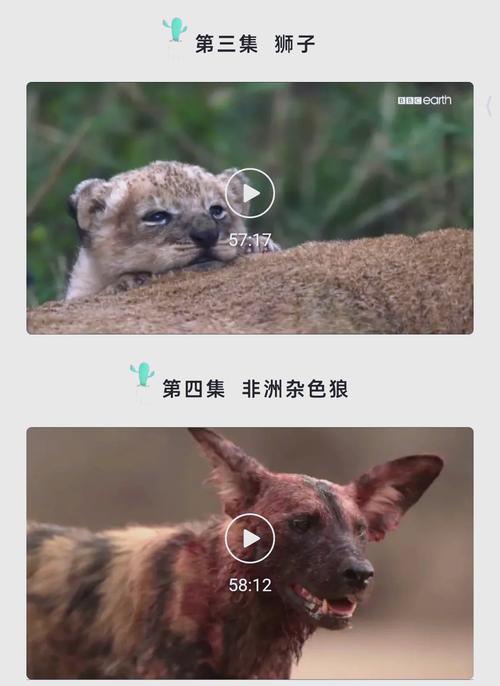 大地影院最新电影推荐：《热辣滚烫》热血上映，2024必看励志喜剧片单