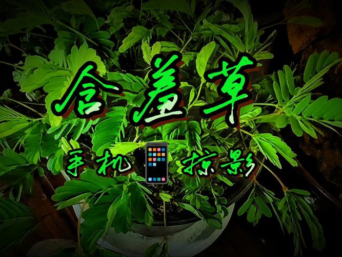 根据您的需求，生成一个包含3个长尾关键词的SEO标题：

**亚洲熟女少妇一区二区三精选合集 | 高清熟女视频在线观看 | 少妇专区热门推荐**

（长尾关键词：高清熟女视频在线观看、少妇专区热门推荐、亚洲熟女精选合集）