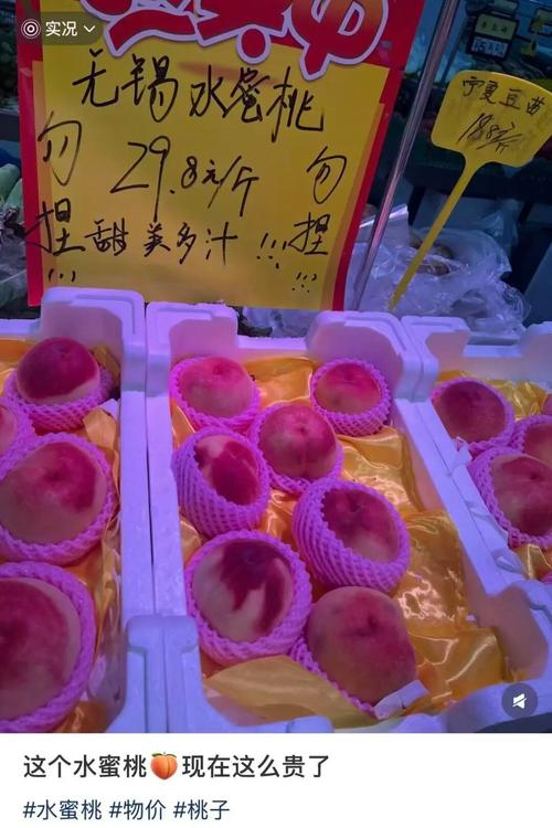 天堂影院8090的相关介绍