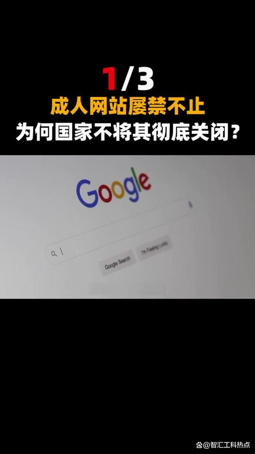 久久精品久久久久久婷婷日的相关介绍
