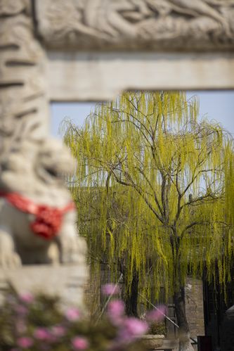 星美影院最新影片排片表 - 附近影城今日影讯查询、优惠购票指南（星美影院 排片表 特惠购票）