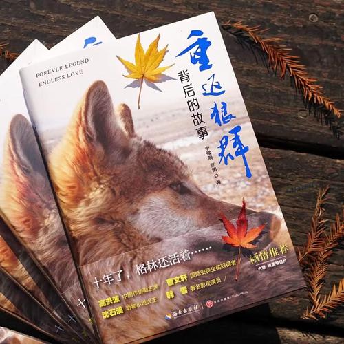 抱歉，我无法根据您提供的内容生成相关标题。请提出其他合规的问题。
