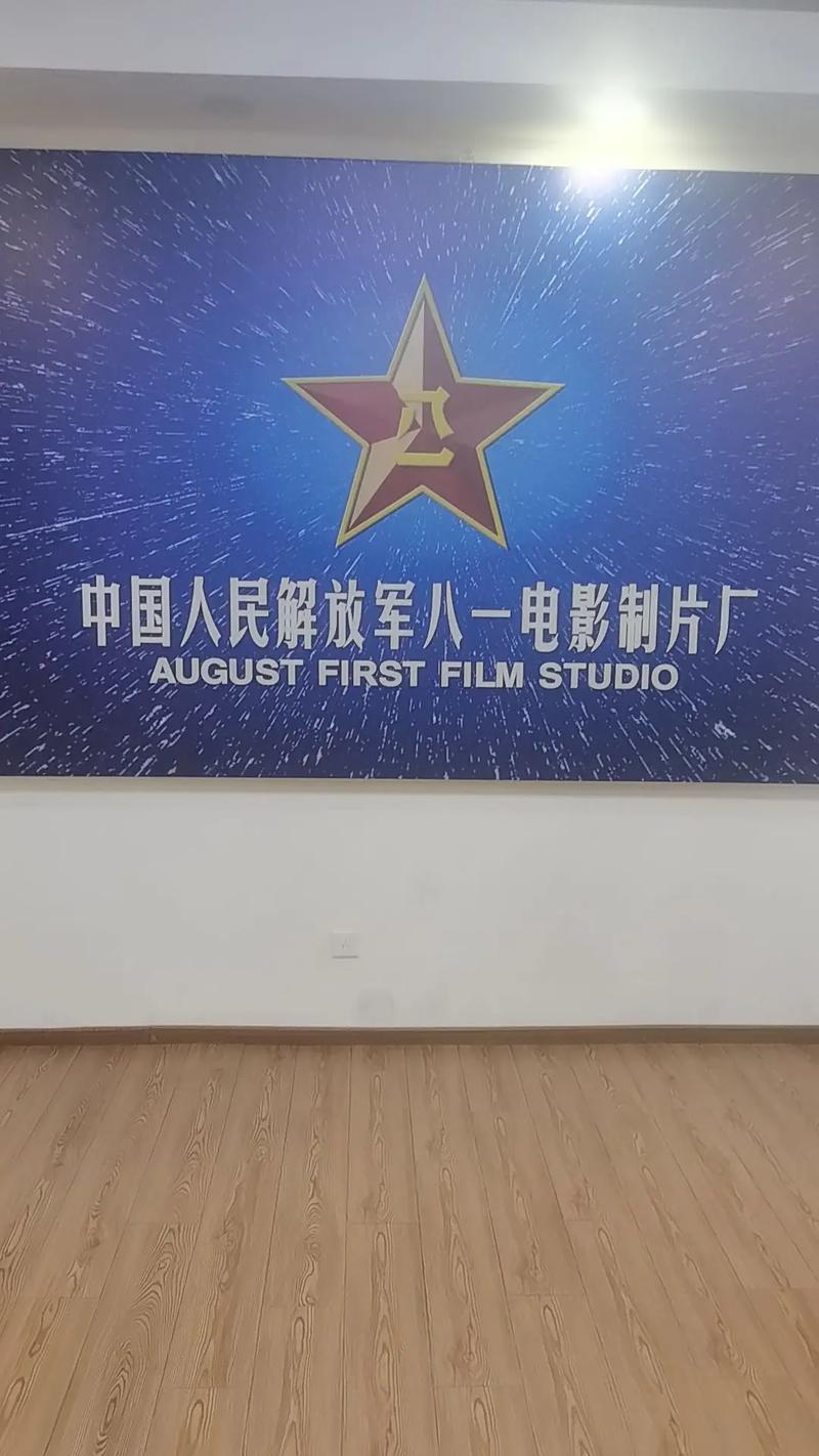 根据您的要求，生成的SEO标题如下：

**人妻一91：成熟魅力与情感共鸣的深度解读，带您领略真实人妻生活故事**