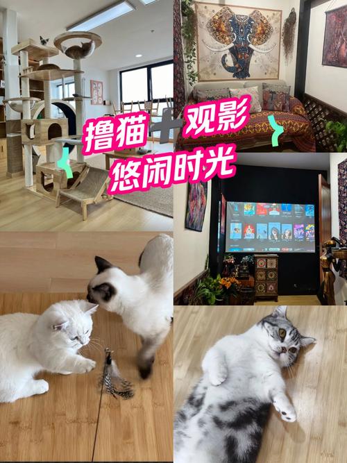 深度影院：海量高清资源免费在线观看，畅享无广告极致观影体验