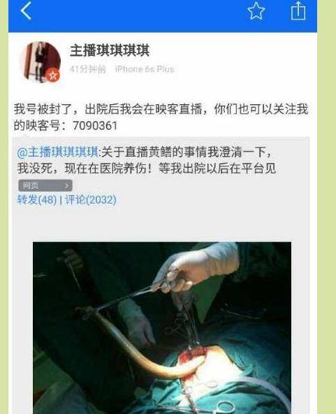 根据您提供的需求,生成的SEO标题如下:
**黄鳝女主播完整视频在线观看 | 天狼影院高清资源 | 热门直播事件回放**