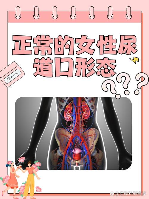 大陆熟妇与欧美熟女魅力对决：熟龄女性的时尚穿搭、情感智慧与生活态度解析