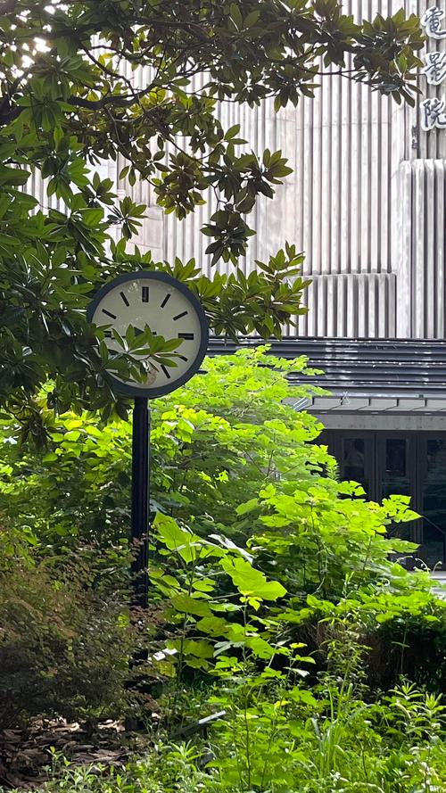 日日拍日日谢在线影院 - 免费追剧平台 | 最新影视资源 | 高清无广告在线观看